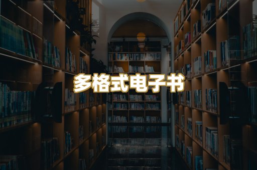 多格式电子书